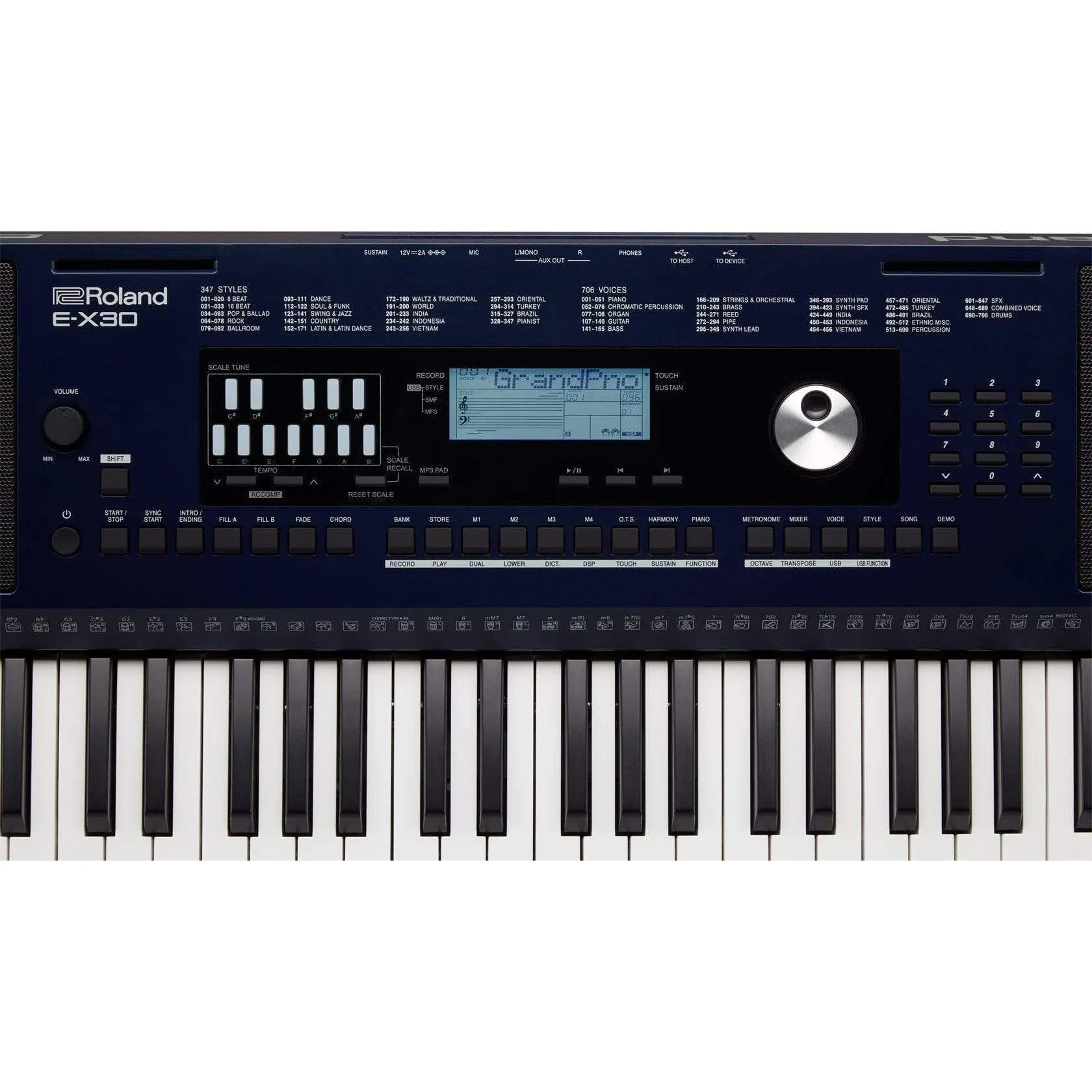 Roland E-X30 Arranger Keyboard - Dark Blue