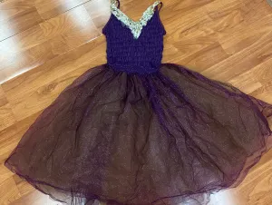 Shimmery Purple & Gold Tutu Dress